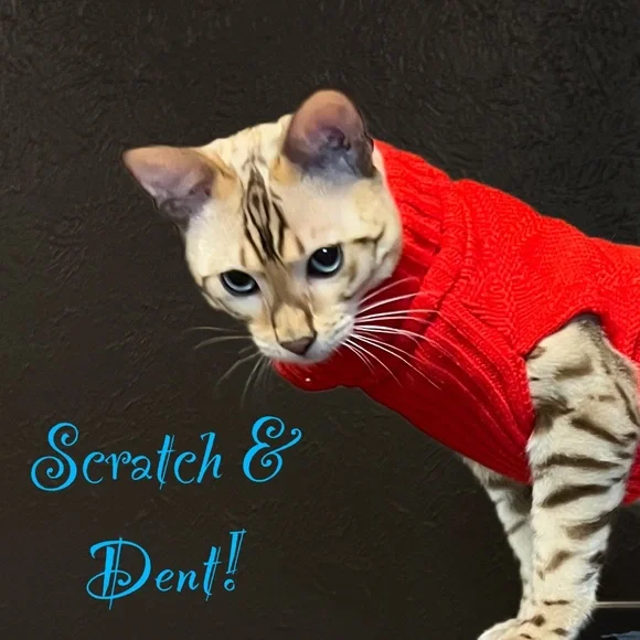 kate spade Karolina heels 6 - Picture 16 of 16